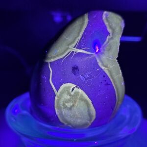 Black Septarian Druzy Dragon Egg (UV reactive)